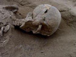 Кения: найдены свидетельства древних войн