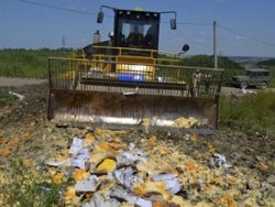 В России за полгода уничтожено 2500 тонн еды