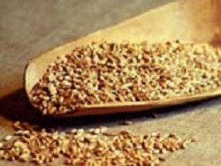 Россиянам будут печь хлеб из пшеницы для скота на законных основаниях