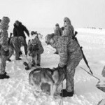 Военные в Арктике пожаловались на еду с мокрицами