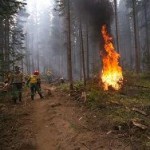 Сибирские чиновники уехали отдыхать вместо борьбы с пожарами