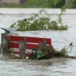 Возбуждено дело о гибели животных в зоопарке Уссурийска