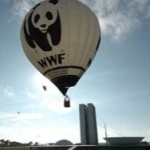 WWF призывает бойкотировать спортивные мероприятия в “Розе Хутор”