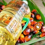 Власти РФ предложили запретить пальмовое масло в детском питании