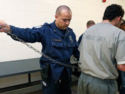 В США более 3 тысяч заключенных ошибочно освободили раньше срока