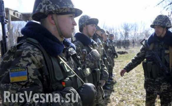 Украина: план крымской войны  | Русская весна