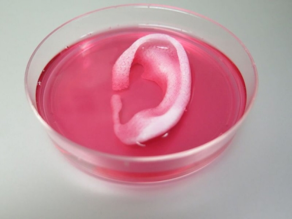 Ученые доказали целесообразность «3D печатной» замены ткани