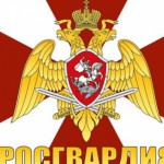 Росгвардия: год спустя