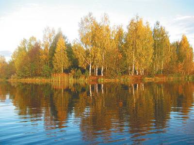 Осень — желанное время для спиннингистов