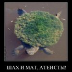 Плоская Земля: эксперименты и доказательства