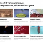 Образовательный проект MEL Science привлек 14 млн долларов от группы инвесторов