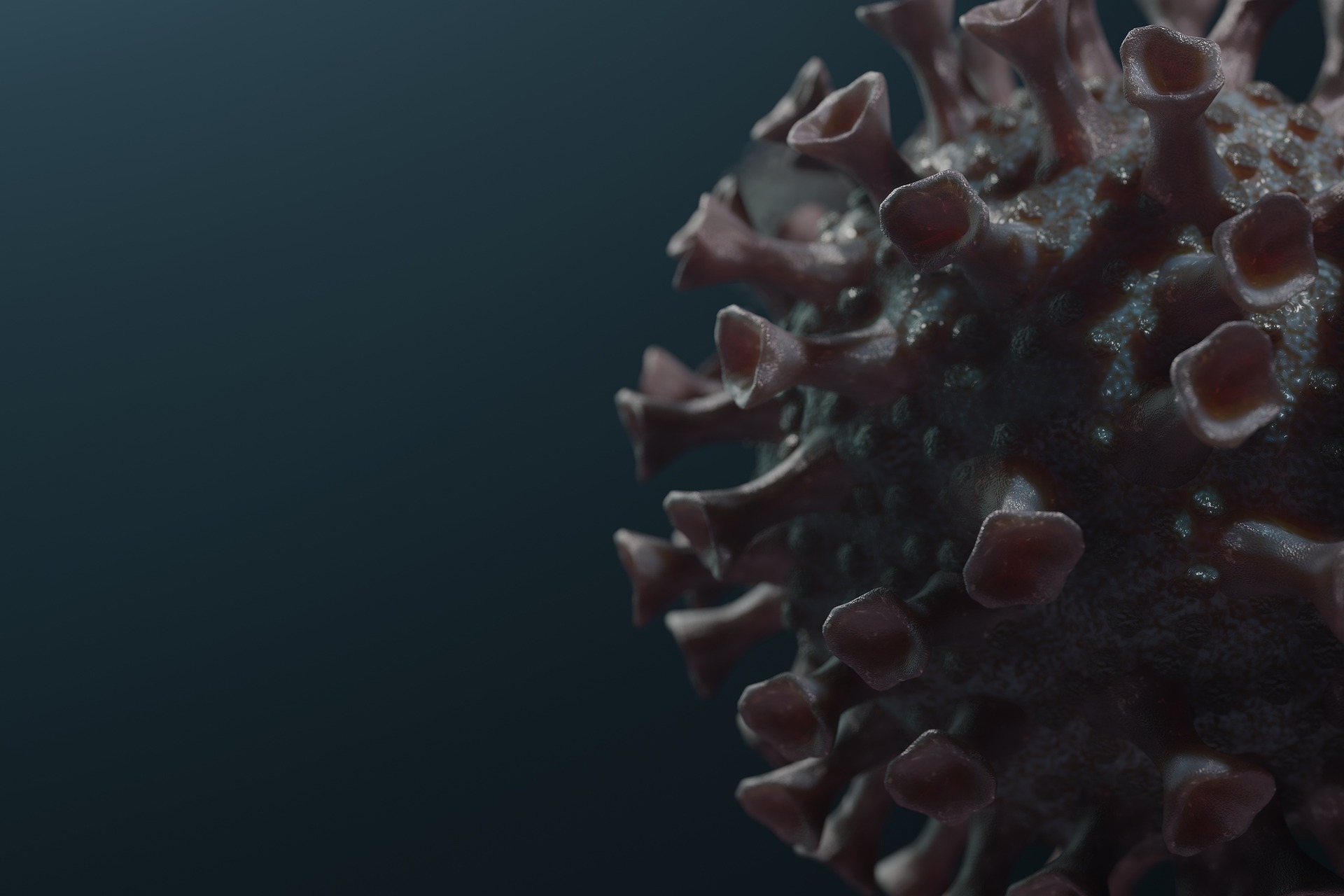 «Омикрон» — далеко не последняя мутация коронавируса